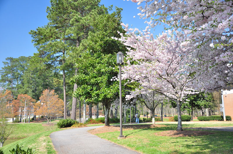 Login - Clayton State University